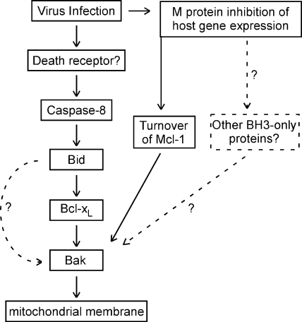 FIG. 10.