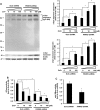 Figure 5.