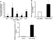 Figure 3.