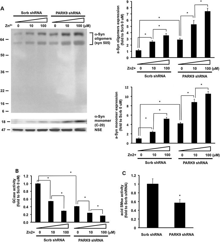 Figure 5.