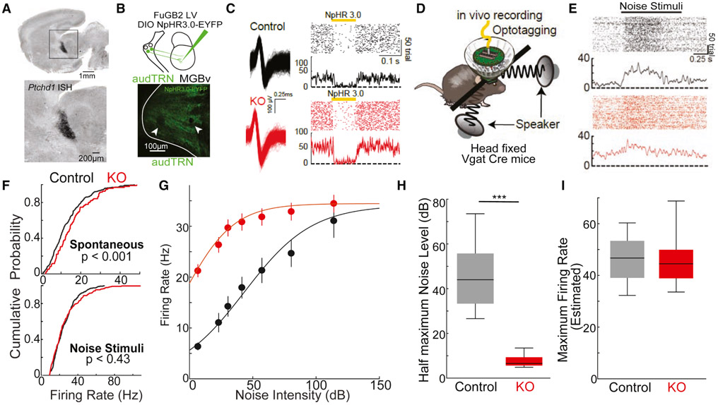 Figure 1: