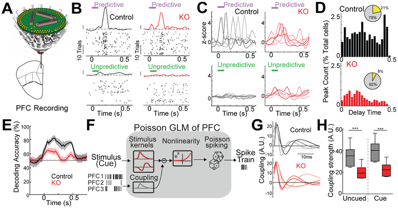 Figure 4: