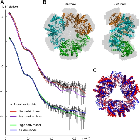 FIGURE 4.