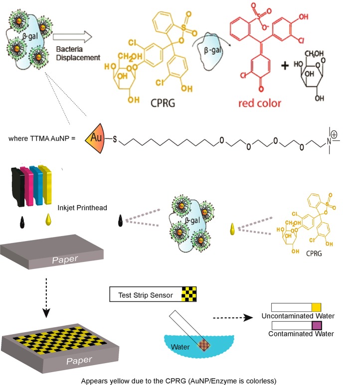 Scheme 1