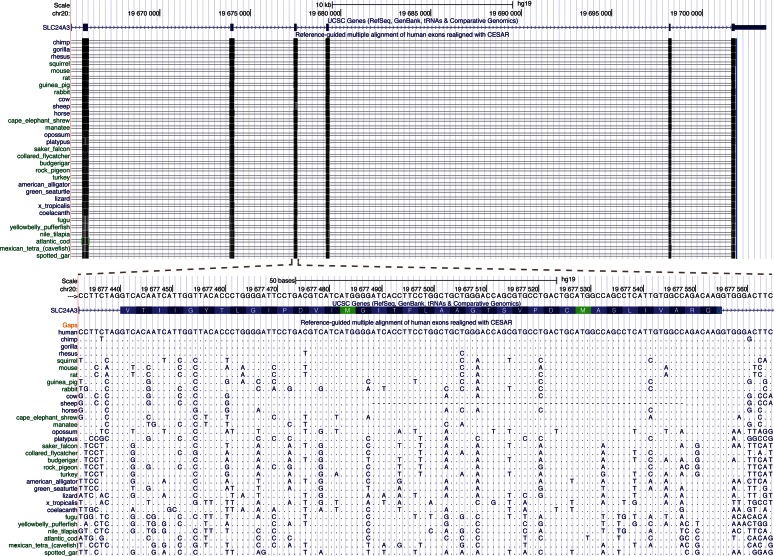 Figure 6.