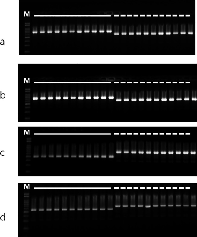 Fig 7