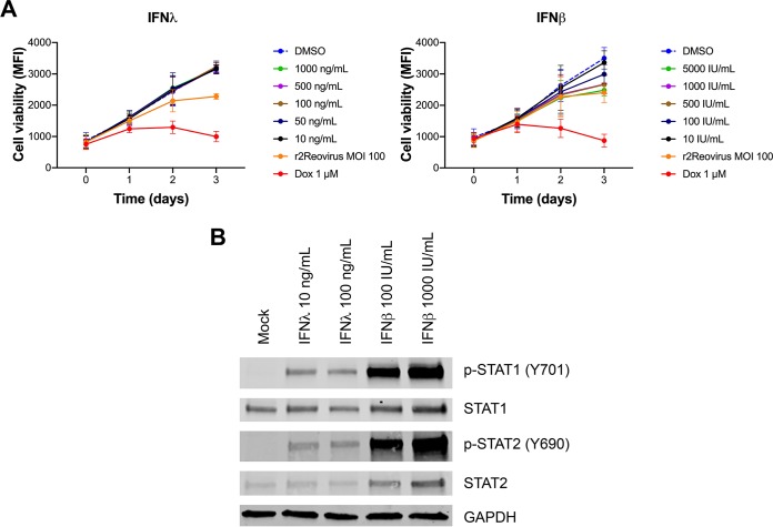 FIG 12