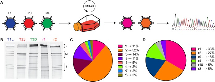 FIG 1