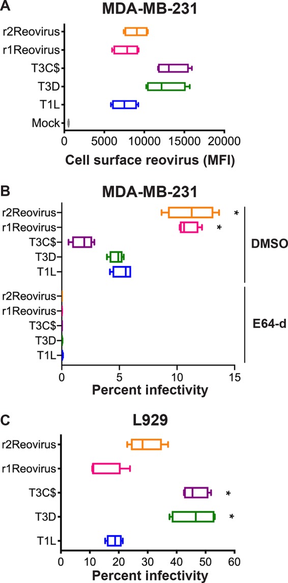 FIG 3