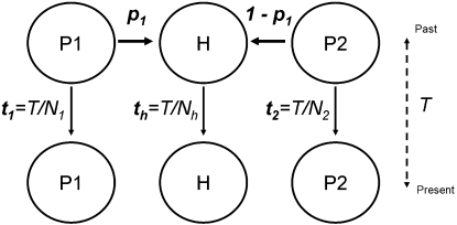 Figure 1.—