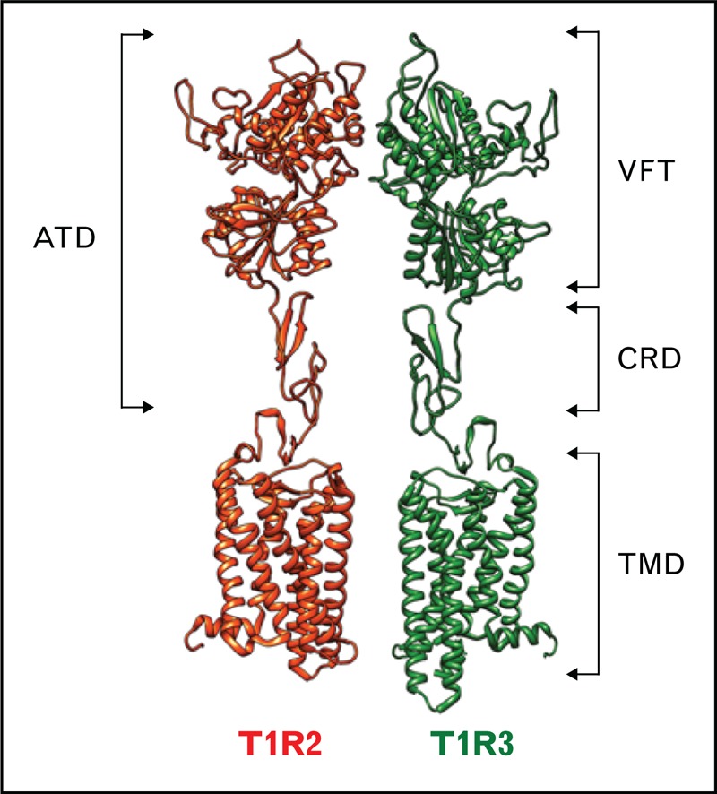 FIGURE 1