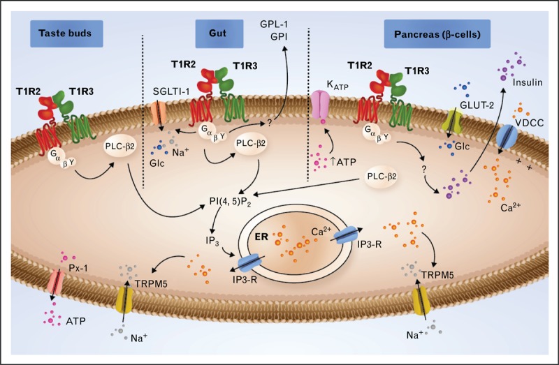 FIGURE 2