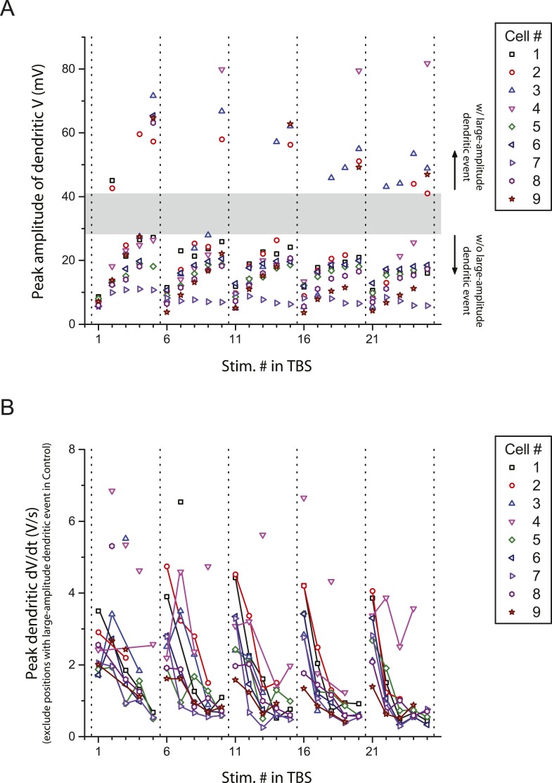 Figure 2—figure supplement 1.