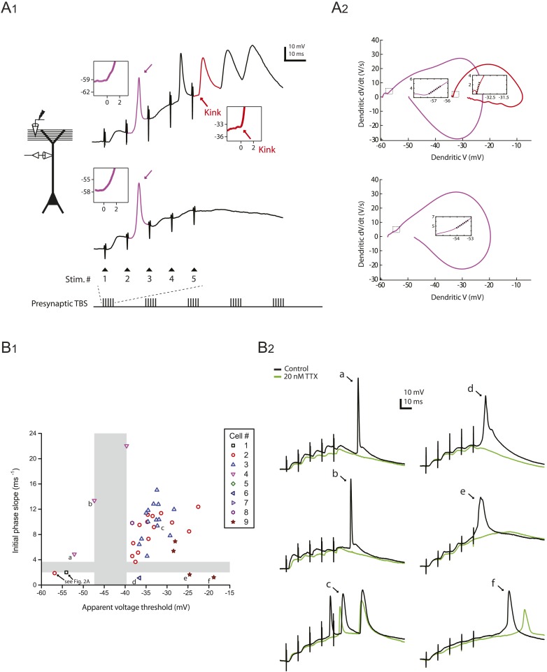 Figure 2—figure supplement 2.