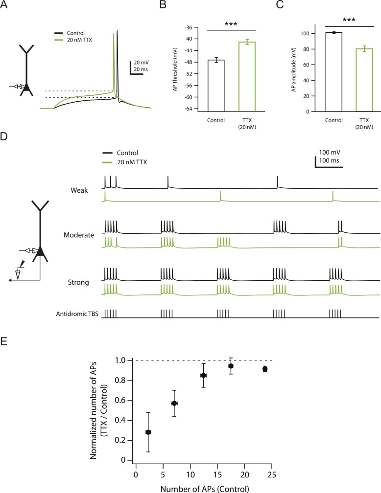 Figure 1—figure supplement 1.