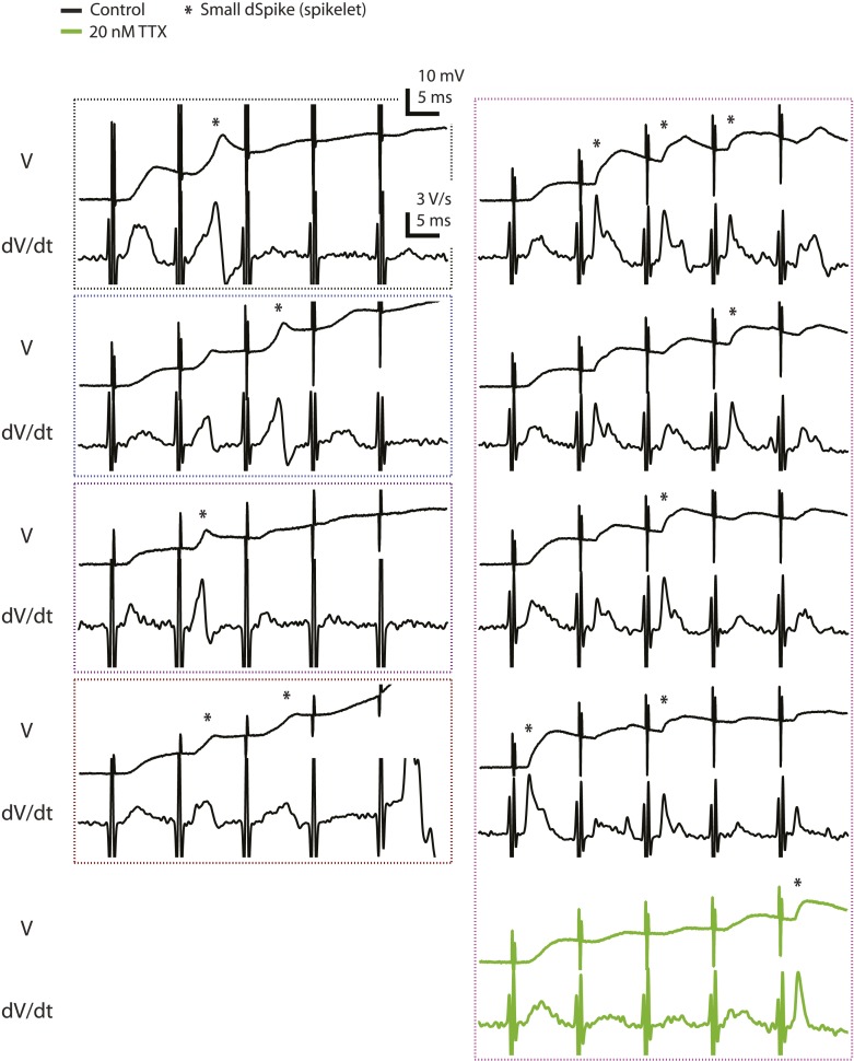 Figure 2—figure supplement 3.