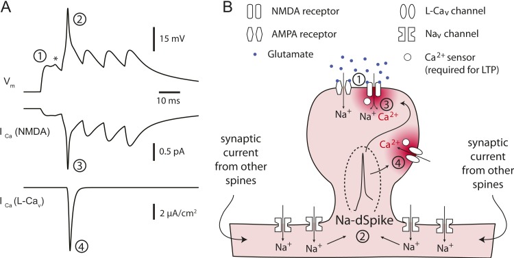 Figure 10.