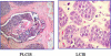 Fig. (4)