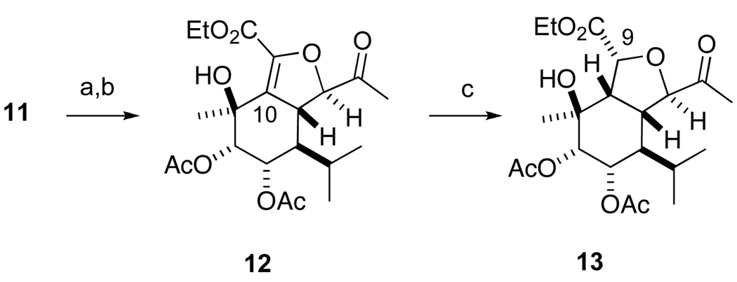 Scheme 4