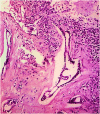 Fig. 10