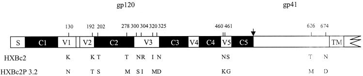 FIG. 1