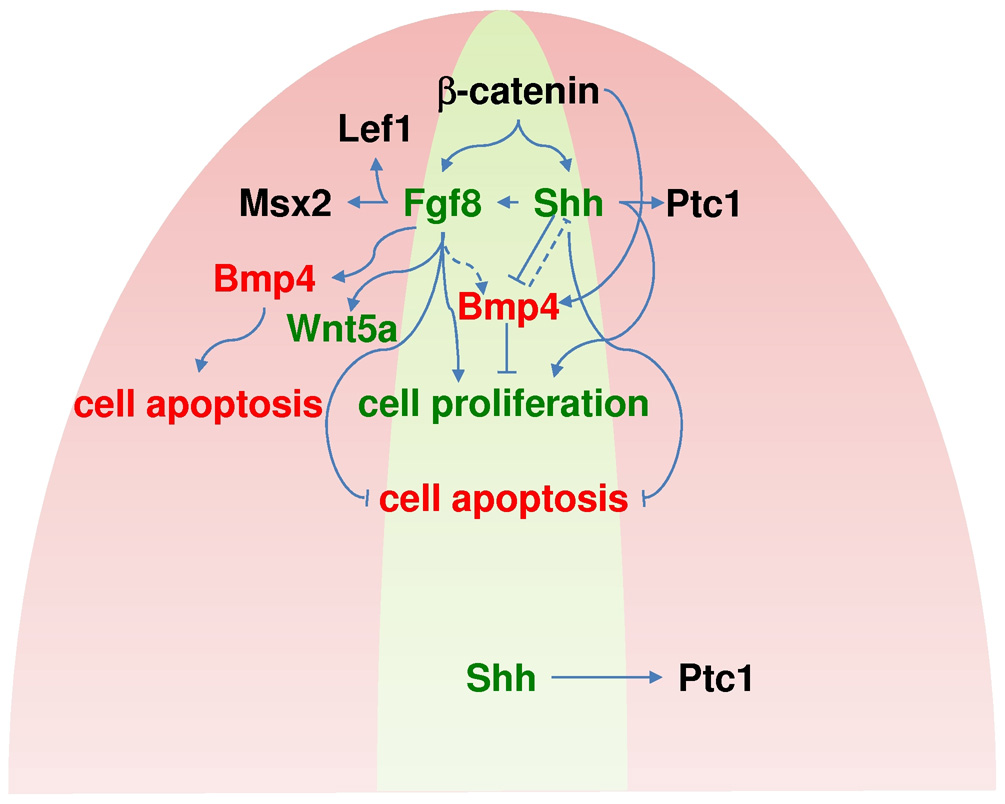 Fig. 8