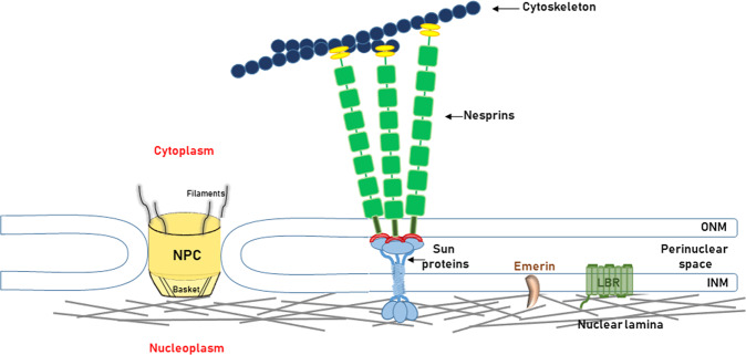 Fig. 2