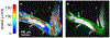 FIG. 3.