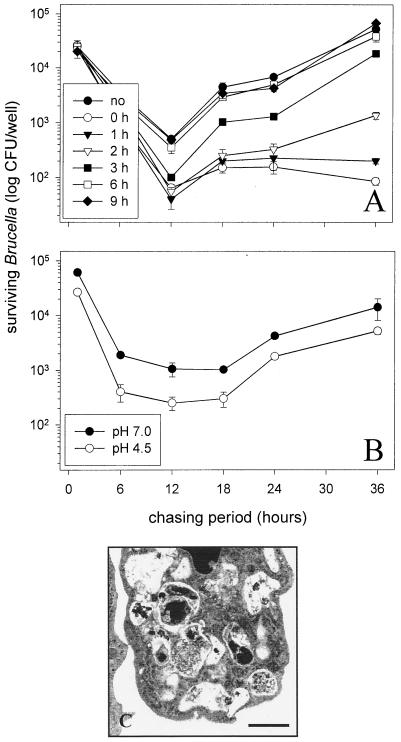 FIG. 6