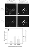 FIG. 7