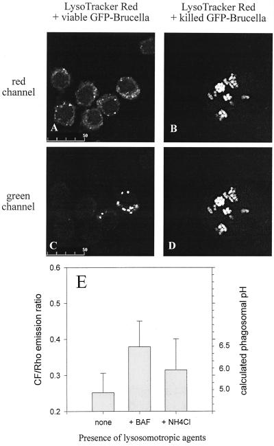 FIG. 7