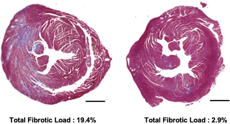 Extended Data Fig. 3