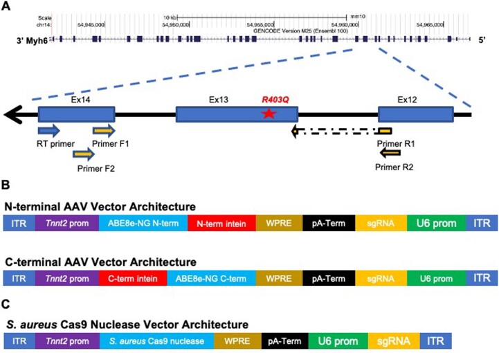 Extended Data Fig. 2