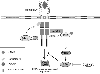 Fig. 10.