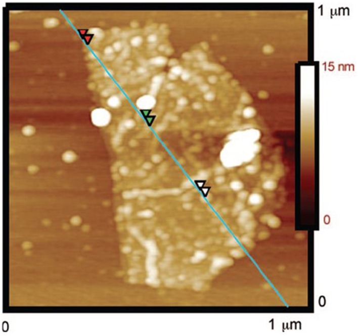 Figure 5