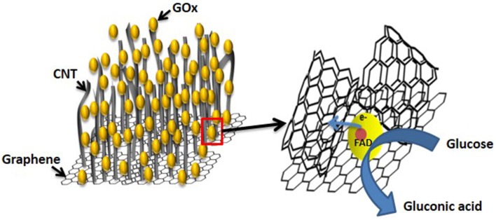 Figure 10