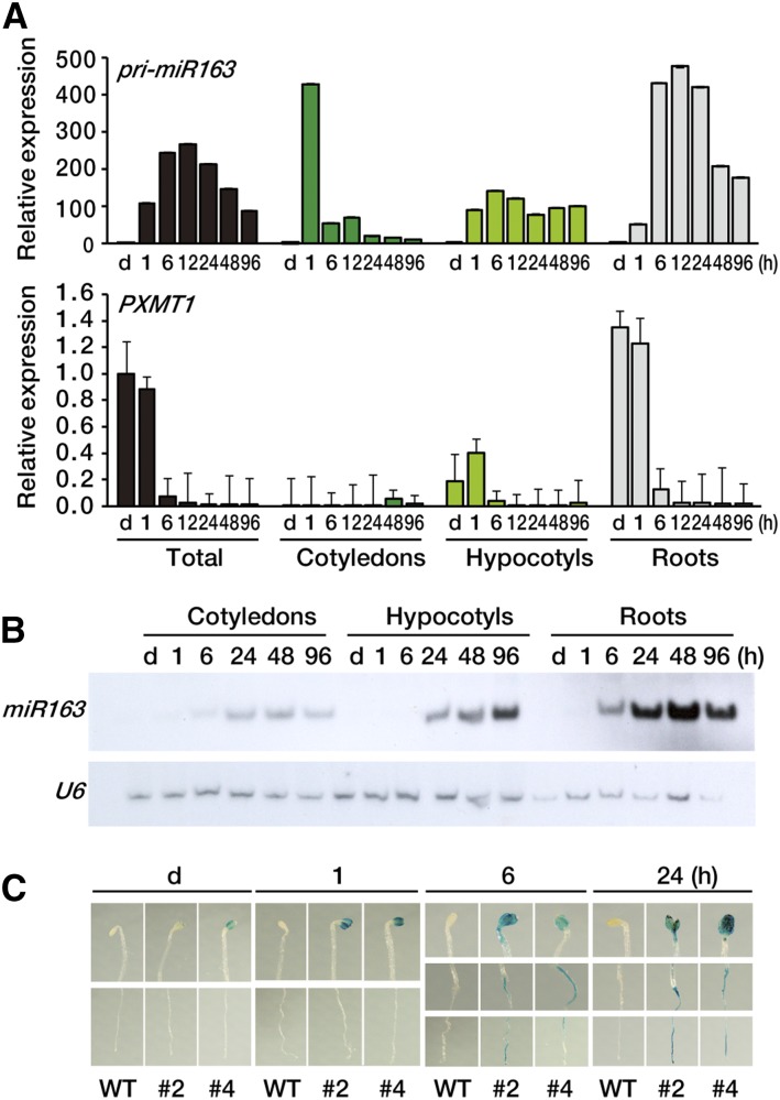 Figure 3.