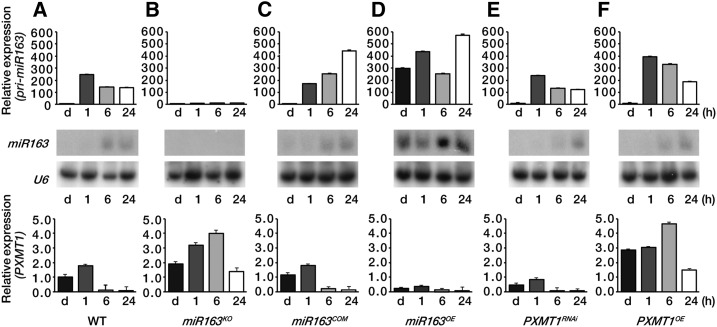 Figure 4.