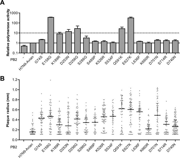 FIG 5