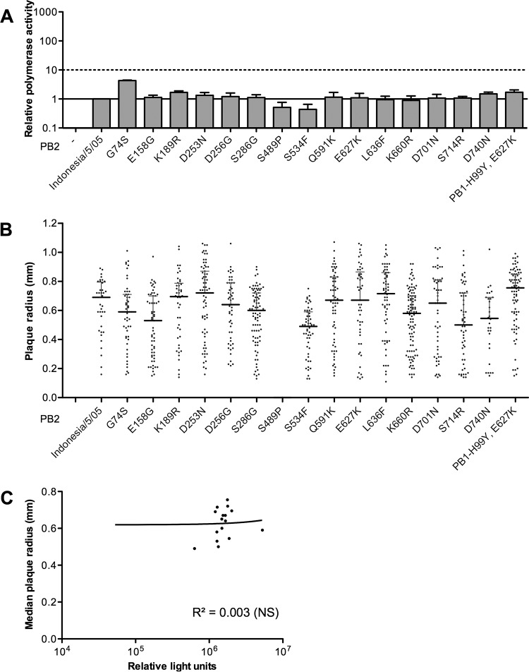 FIG 6