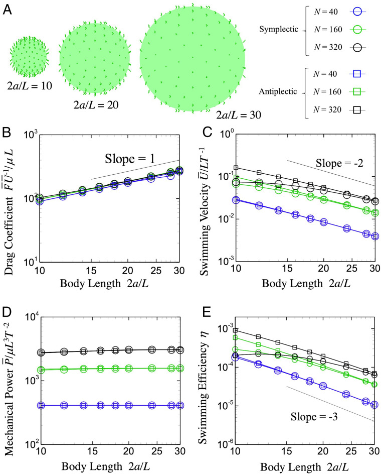 Fig. 2.