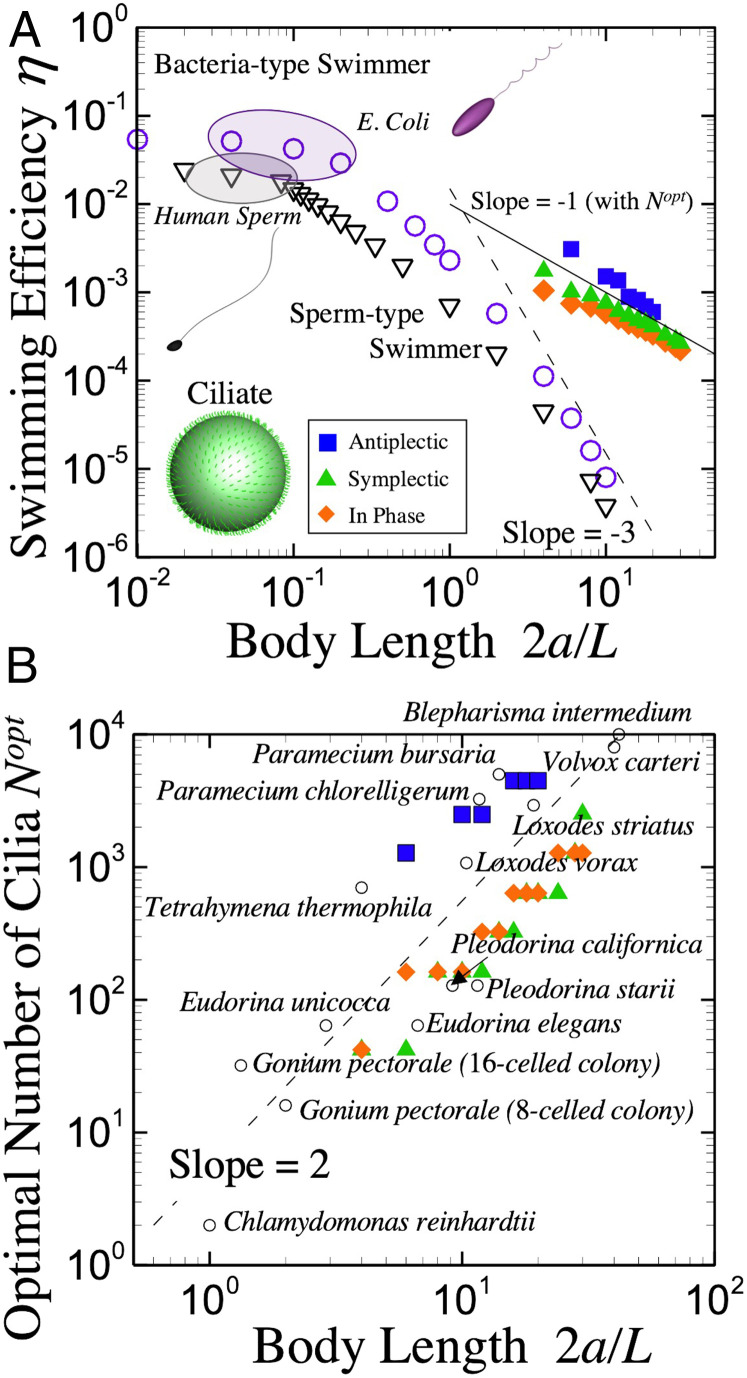 Fig. 5.