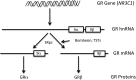 <b>FIG. 2.</b>