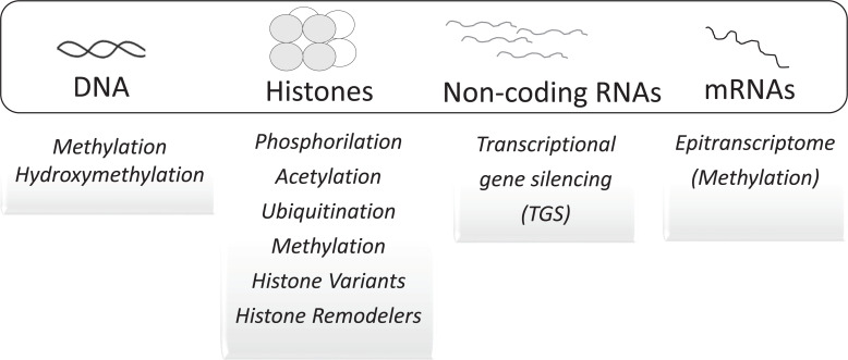 Fig. (2)