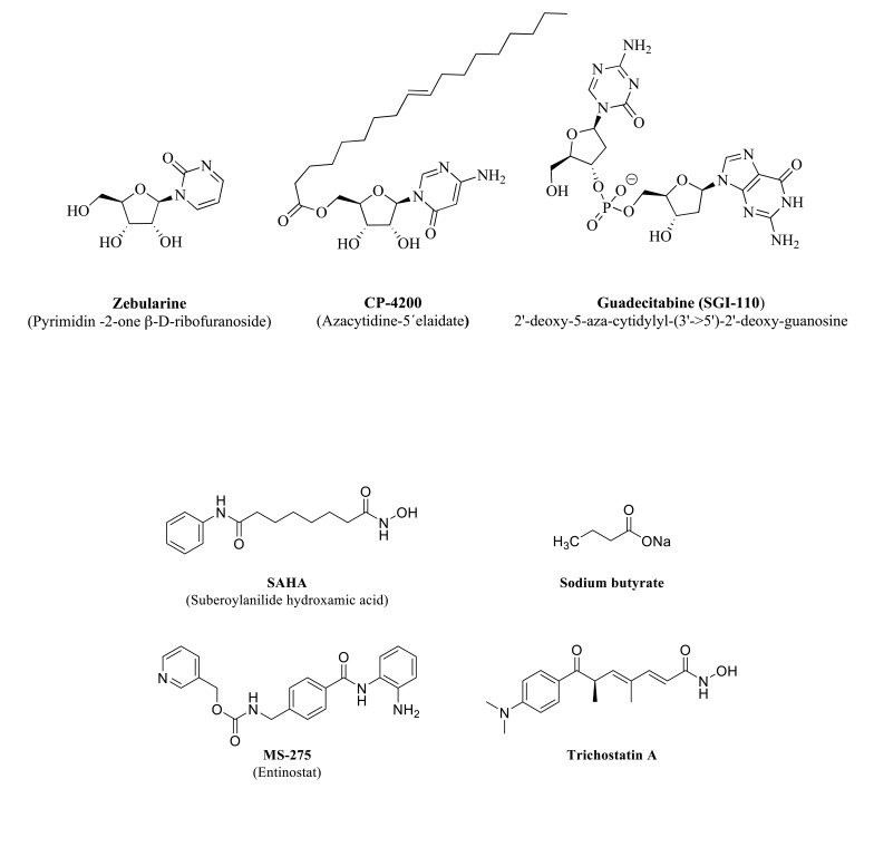 Fig. (7)