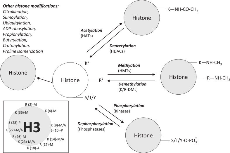 Fig. (5)