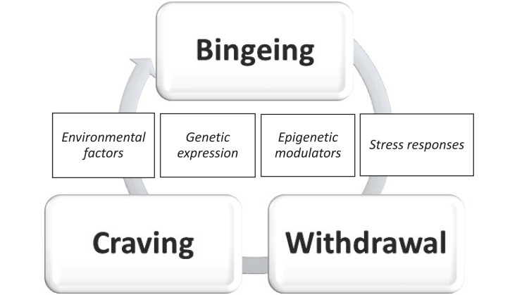 Fig. (1)