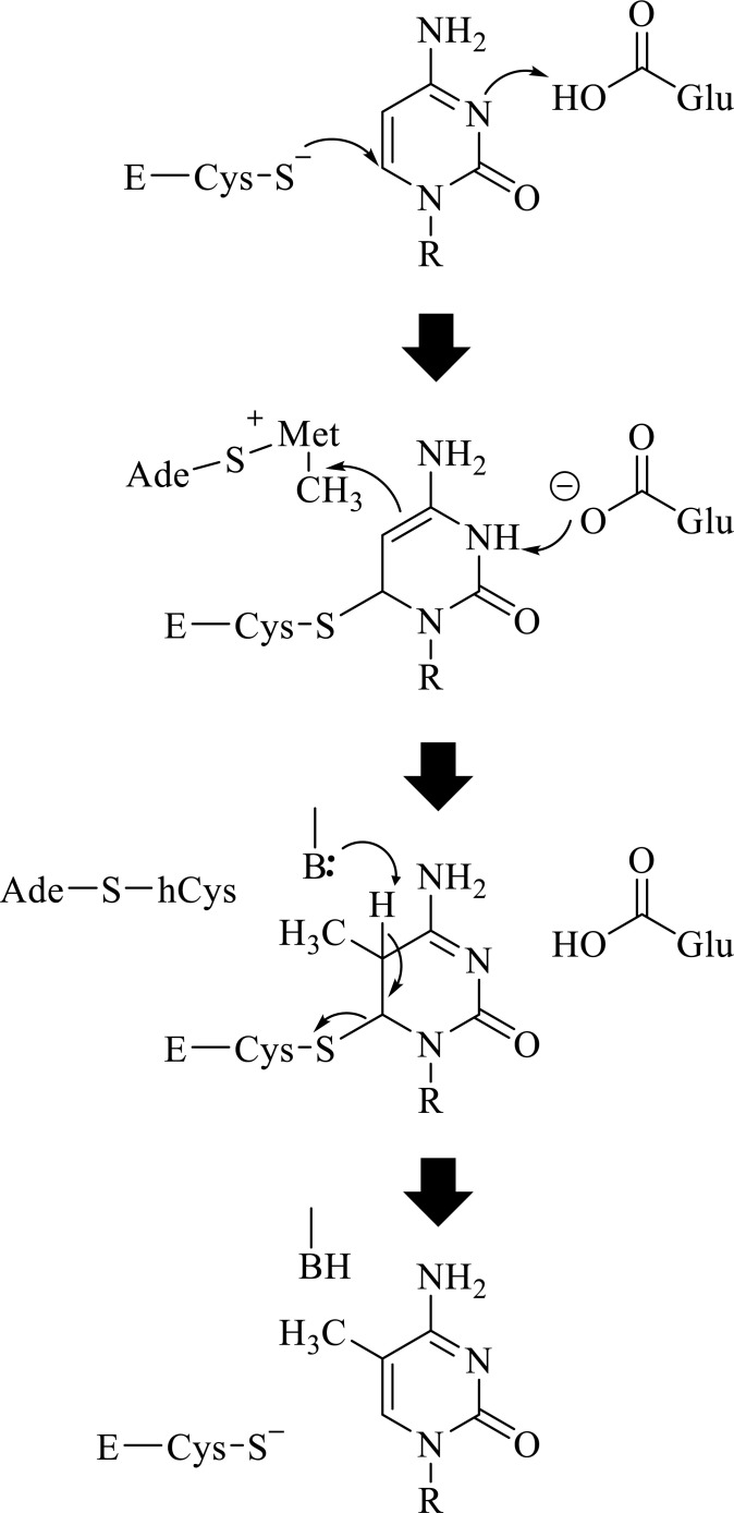 Fig. (4)