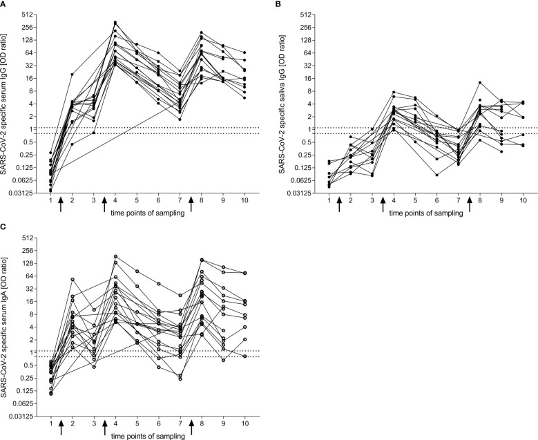 Figure 1