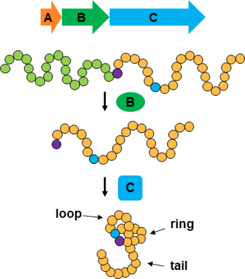 Figure 1: